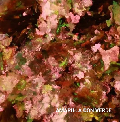 Andi Espinoza - Hojuelas multicromaticas